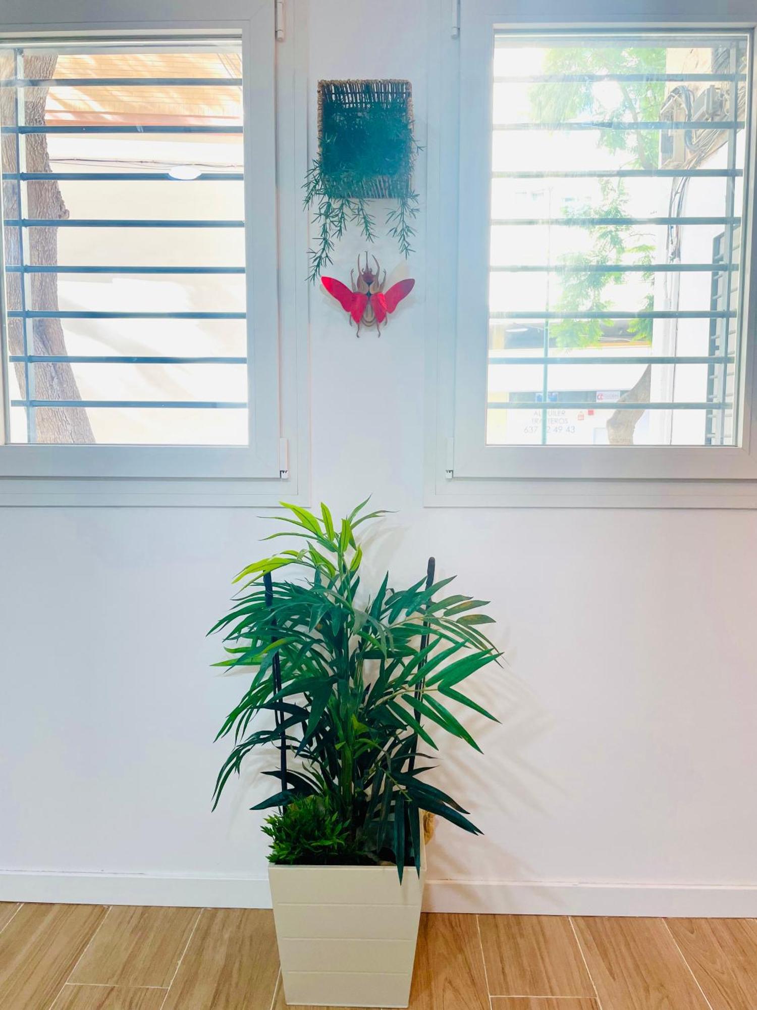 Completo Y En Apartment Malaga